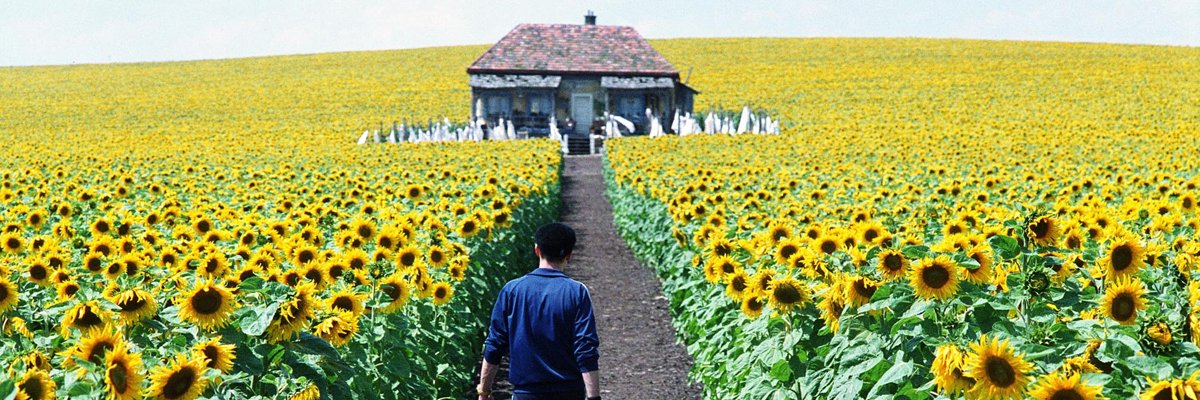 Iaminsanity16's profile banner image