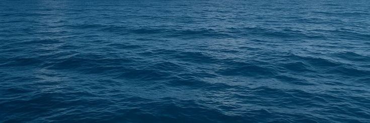 花 Put banner
