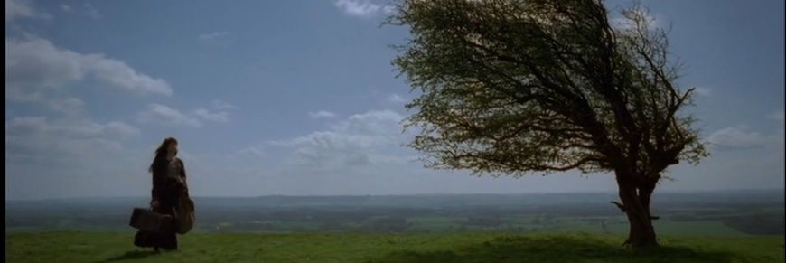 malumatfurus_'s profile banner image