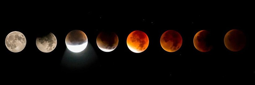 𝐌𝐫. 𝐒𝐜𝐚𝐫𝐜𝐢𝐭𝐲 𝐗𝐗𝐗 banner