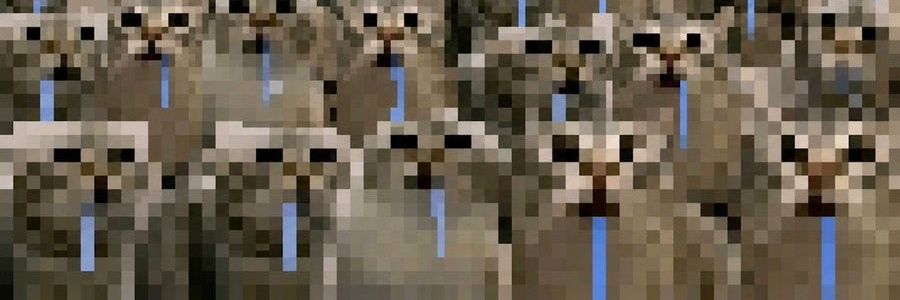 v_runnn's profile banner image