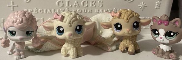 peyinces Profile Banner