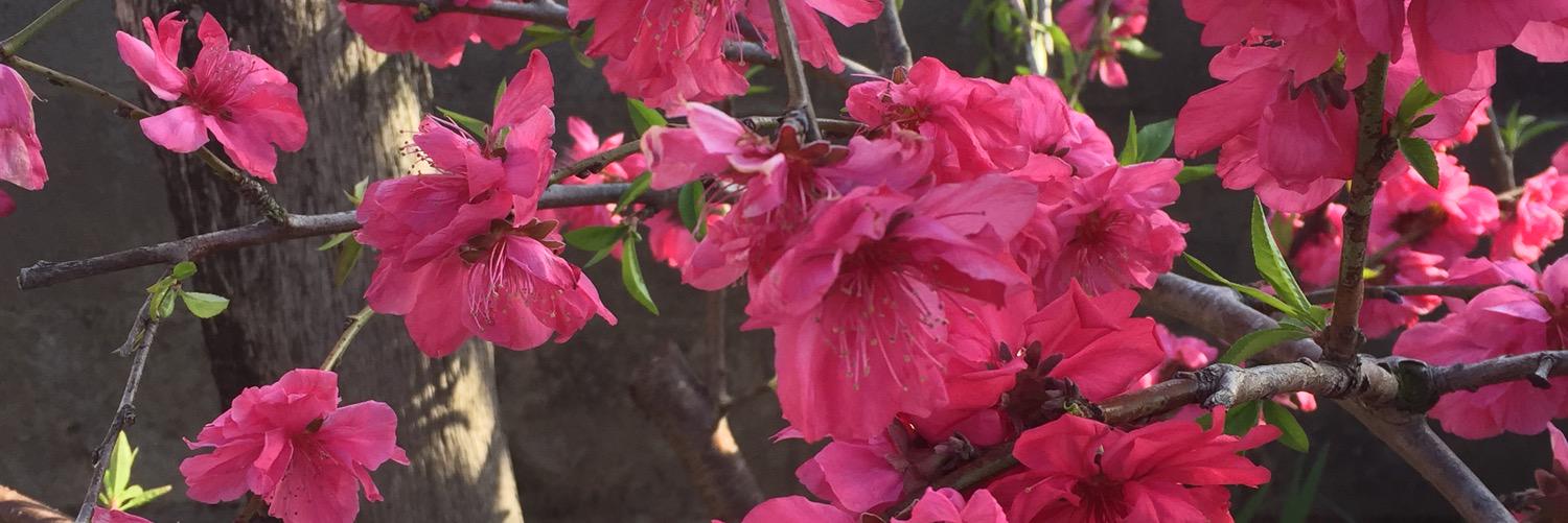mikaa6312's profile banner image