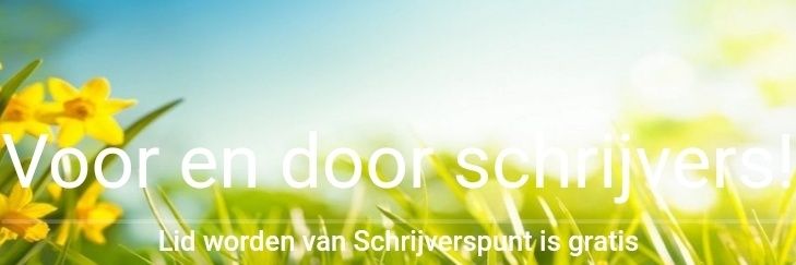 Schrijverspunt's profile banner image