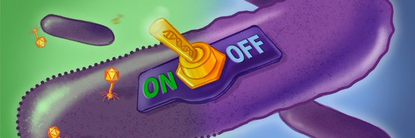 J_Bobonis Profile Banner