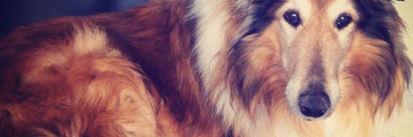 xJaimyB Profile Banner