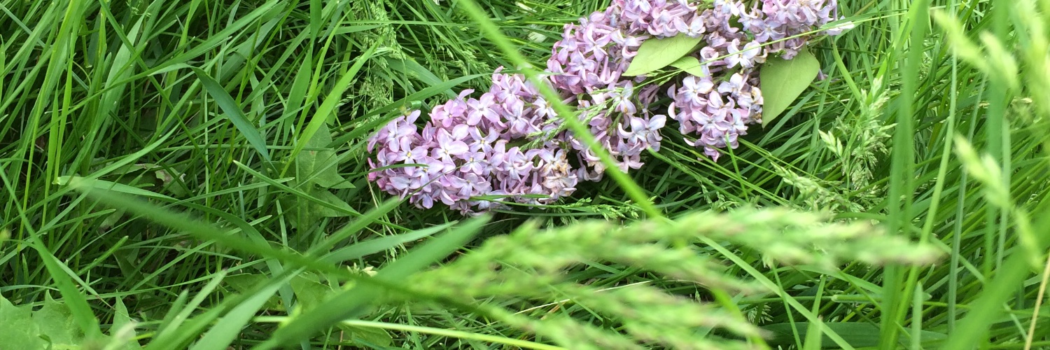 SadGirl27 banner