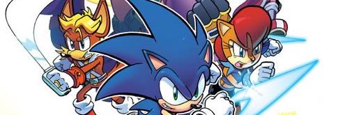 🧡Sally Acorn💙 banner