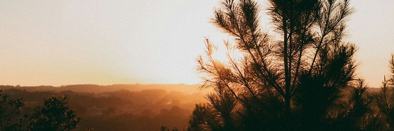imam_uz's profile banner image