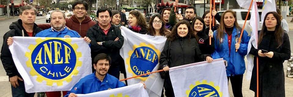 Comisión Sindical ANEF banner