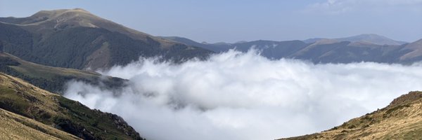 BreegeHannify Profile Banner