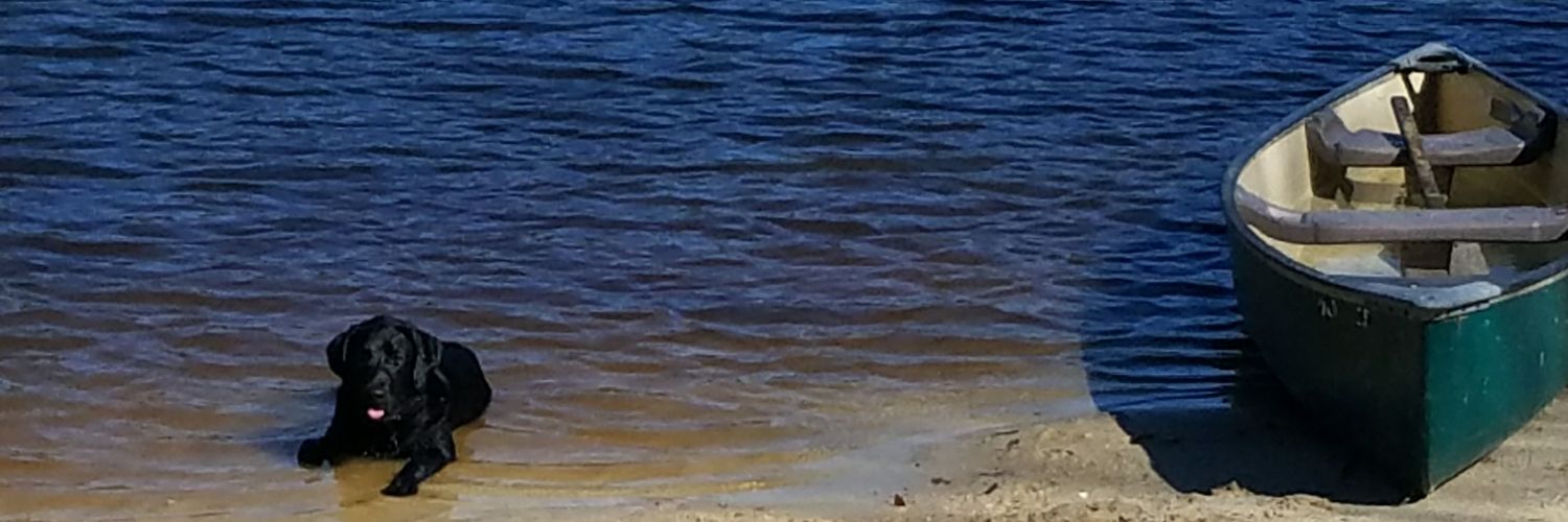 DillonBurke32's profile banner image