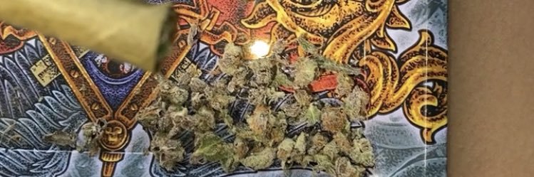 lulbbyseb's profile banner image