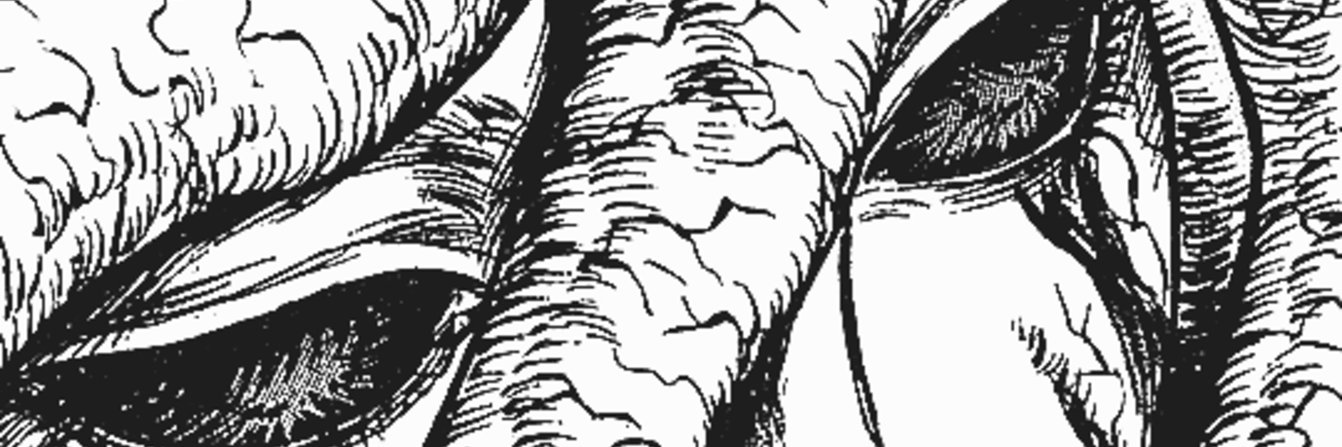 Skreeth797's profile banner image