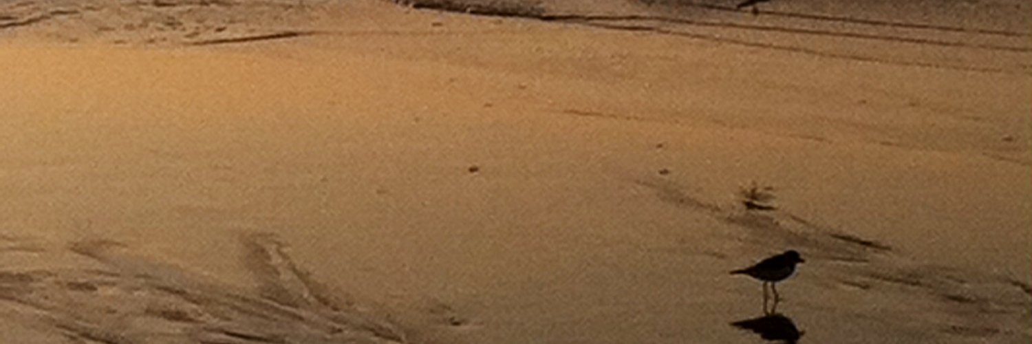 rain on ocean banner