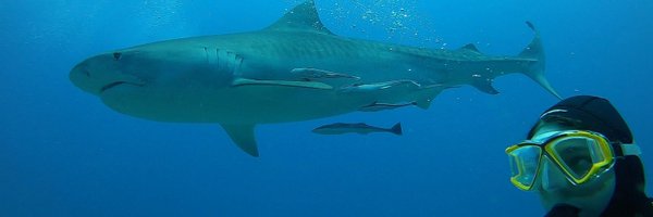 EmilyCarr42 Profile Banner