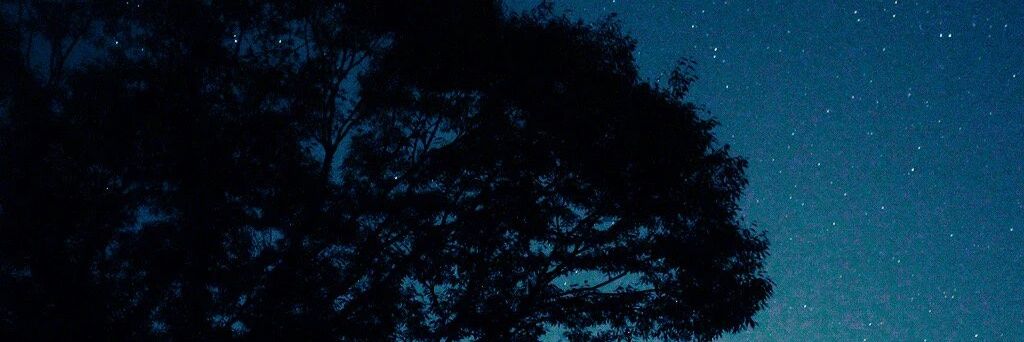 ha_nikole's profile banner image