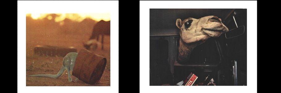 Lula Porto 🏳️‍🌈 banner