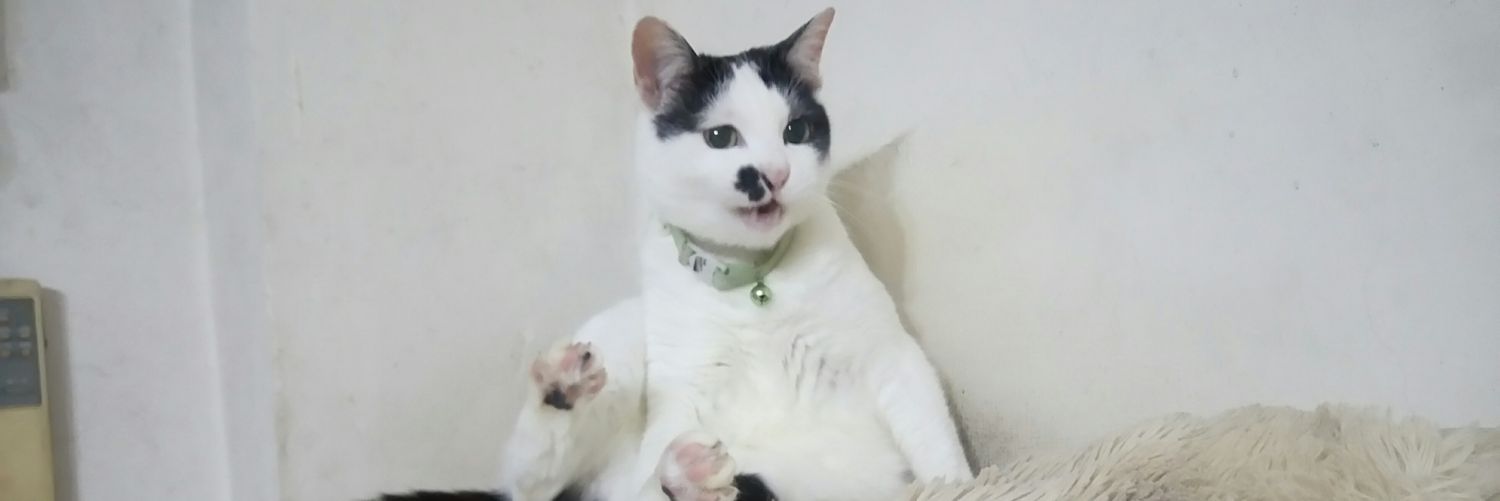 ＠三毛猫の夢を見る私 banner
