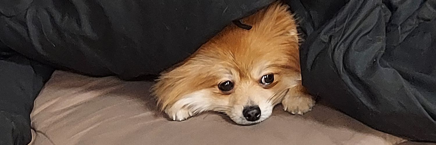 Moon_waitz's profile banner image