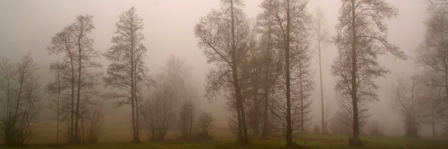 Vancouver Island banner