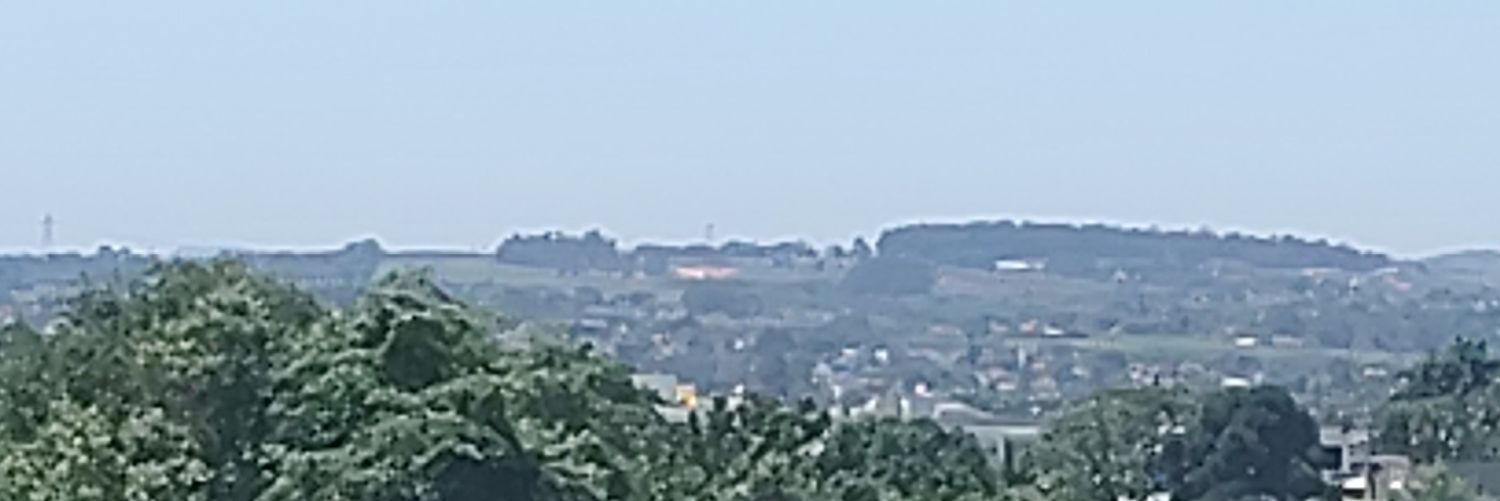 coelholr's profile banner image