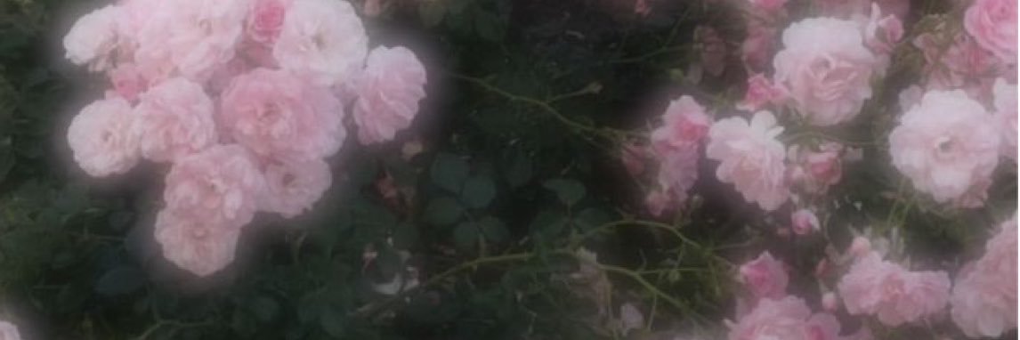 m00_83's profile banner image