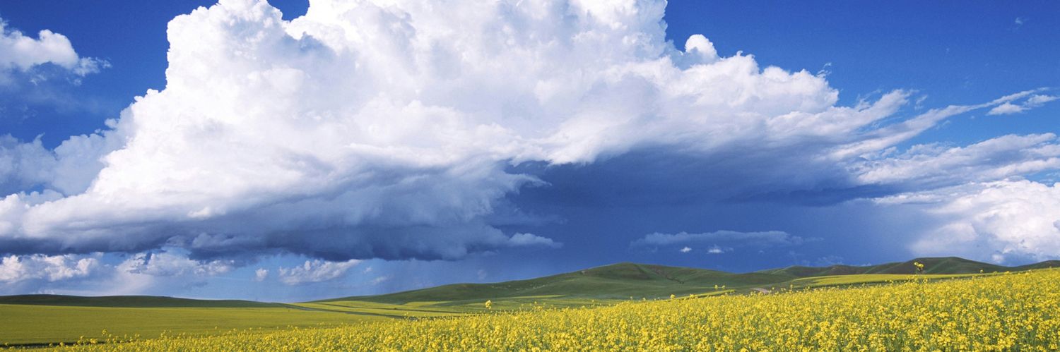 A Place In The Sun banner