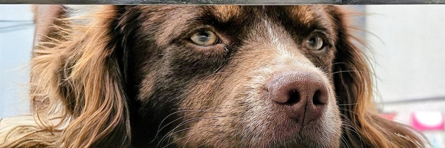 kalkancicem's profile banner image