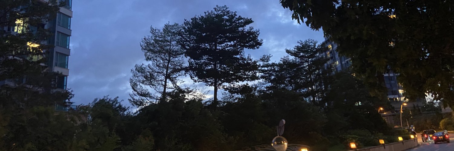 SkyofWing-天翼子🇭🇰 banner