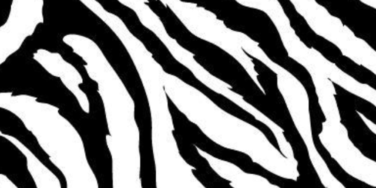 hillaryyymorgan's profile banner image