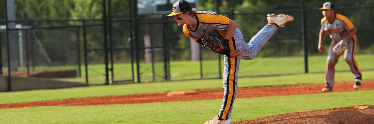 Jake Hamilton banner