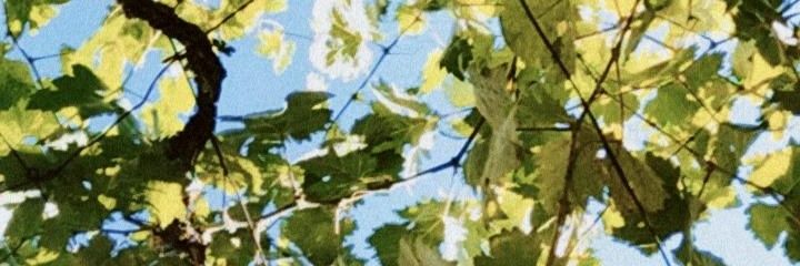 _pablorguezf's profile banner image