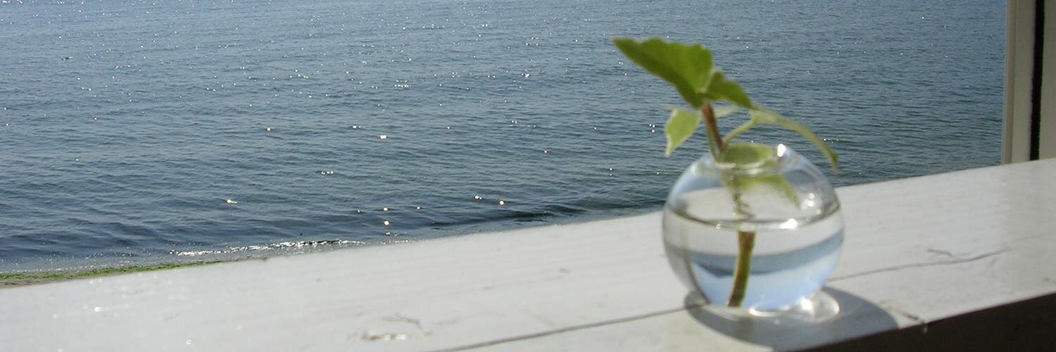 satonosmile's profile banner image