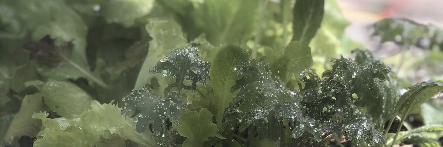 GreenGeniusFarm's profile banner image