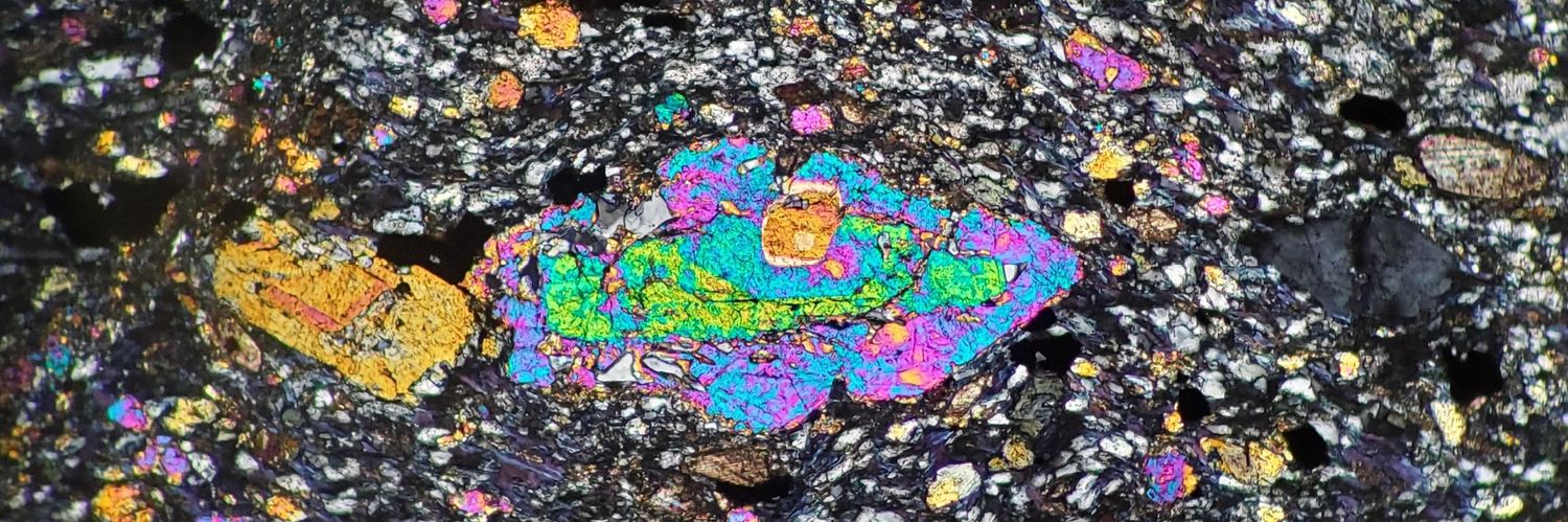 Claudia I. Roig banner