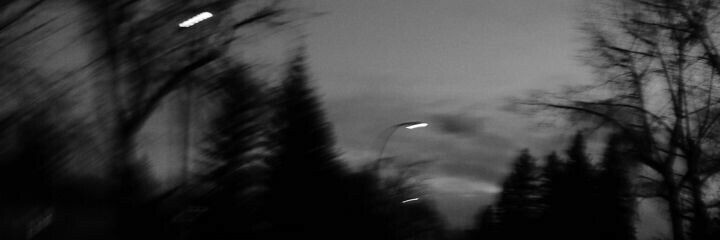 bababiububu_ banner