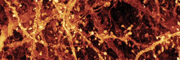 CFGeek Profile Banner
