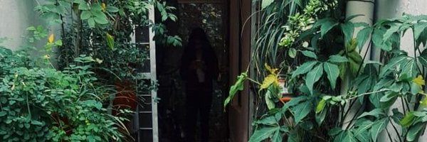 alaizafarid Profile Banner