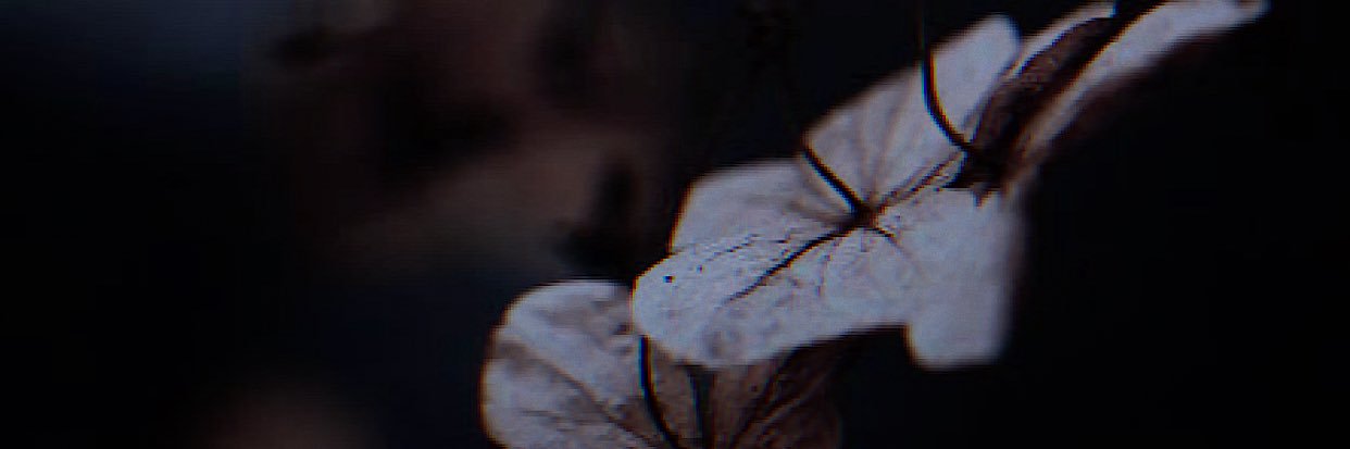 EuphxricEdits's profile banner image