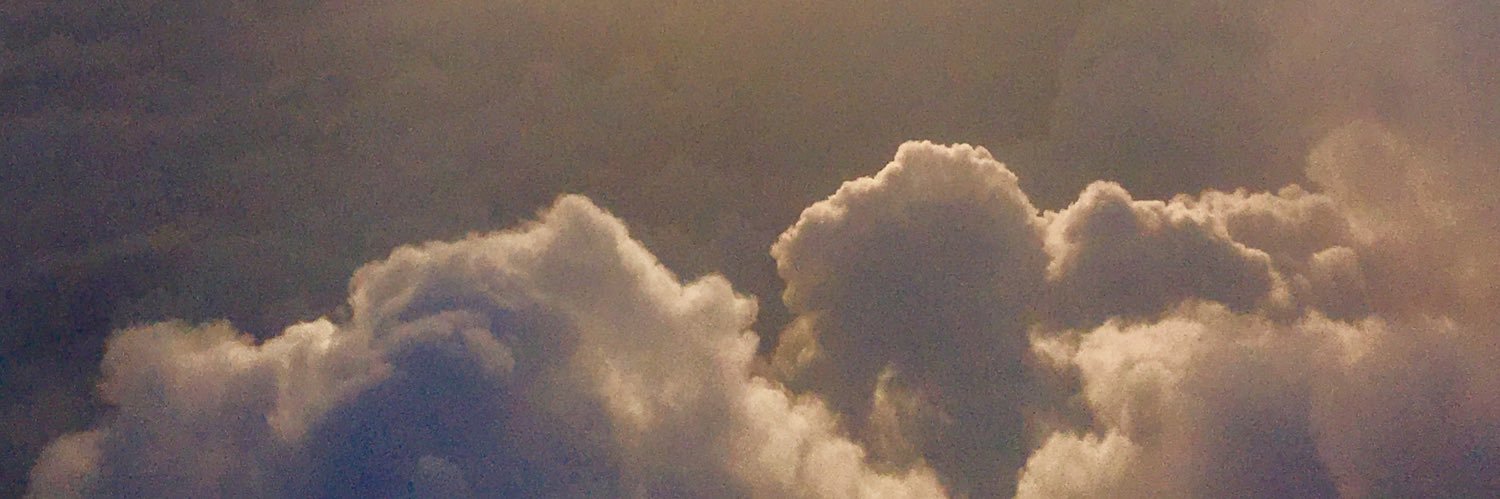 Goushalya's profile banner image