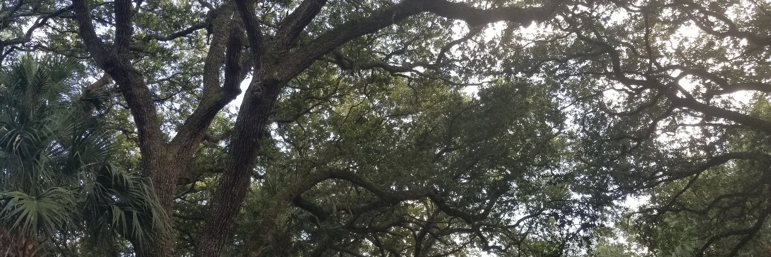 Purple State Blues banner