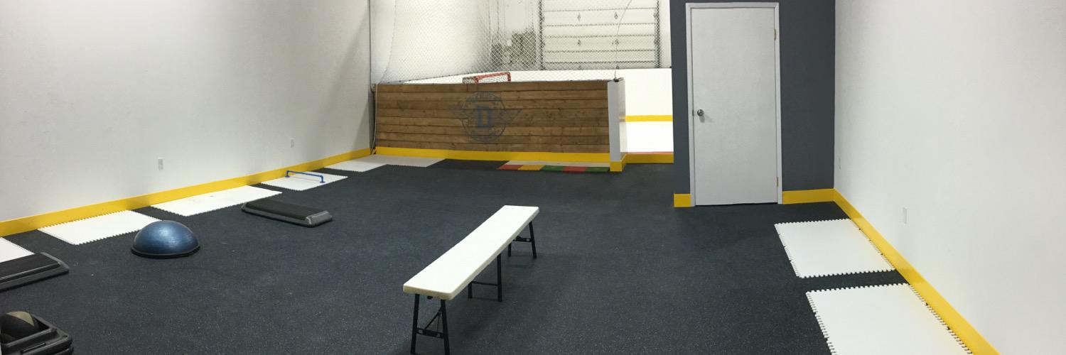 DangleHockeyTO's profile banner image