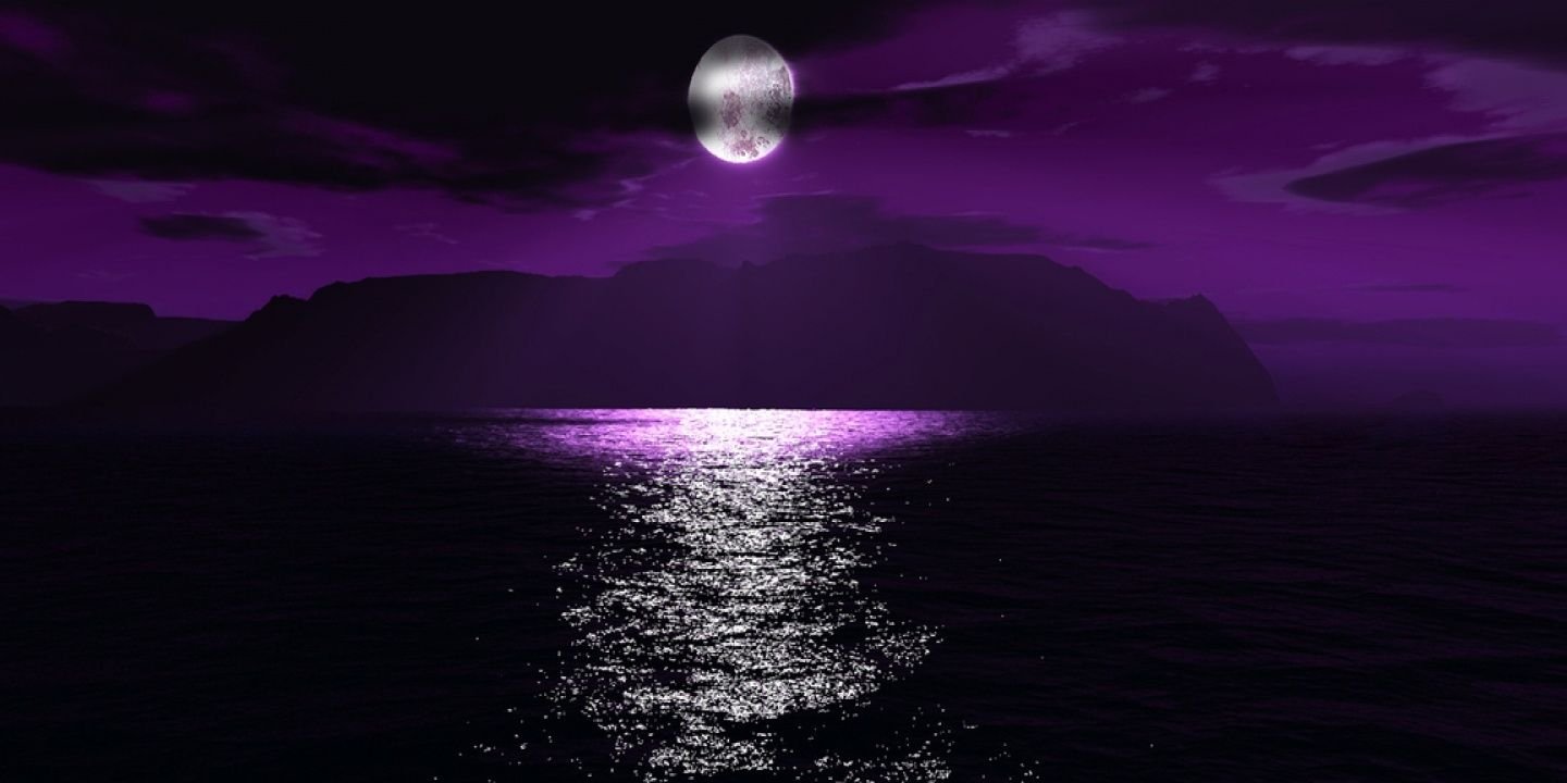 naomixi40's profile banner image