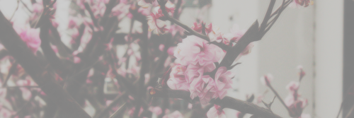 worthymatthew's profile banner image