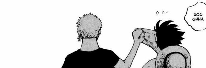 rrronoa's profile banner image