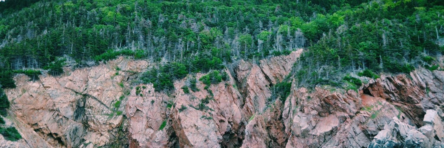 MadisonAmes's profile banner image