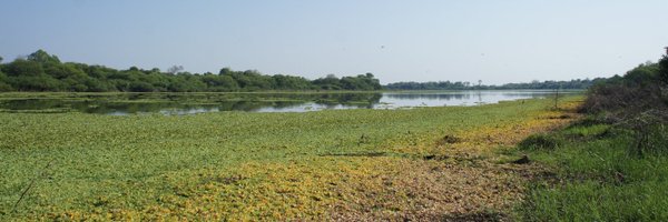 SemperPascual Profile Banner