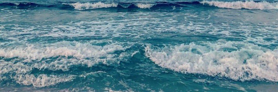 ✿RaLRaL✿ banner