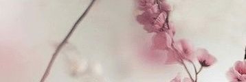 てと banner